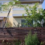 熊谷市庭施工ハードウッド植栽