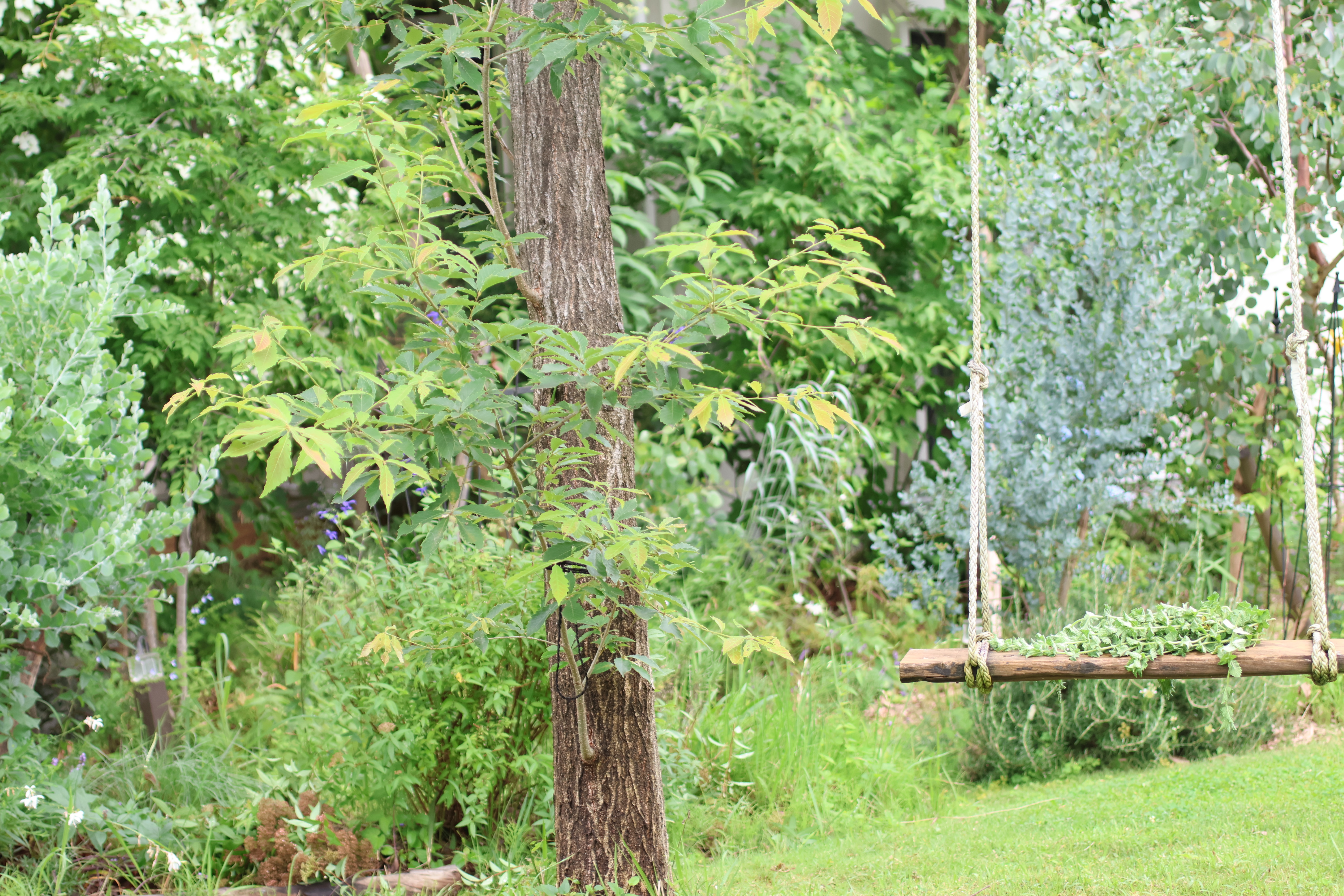 熊谷市のエクステリア庭づくりよくある質問