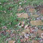 庭をコンクリートで固める前に知ってほしいこと｜熊谷市の庭づくり