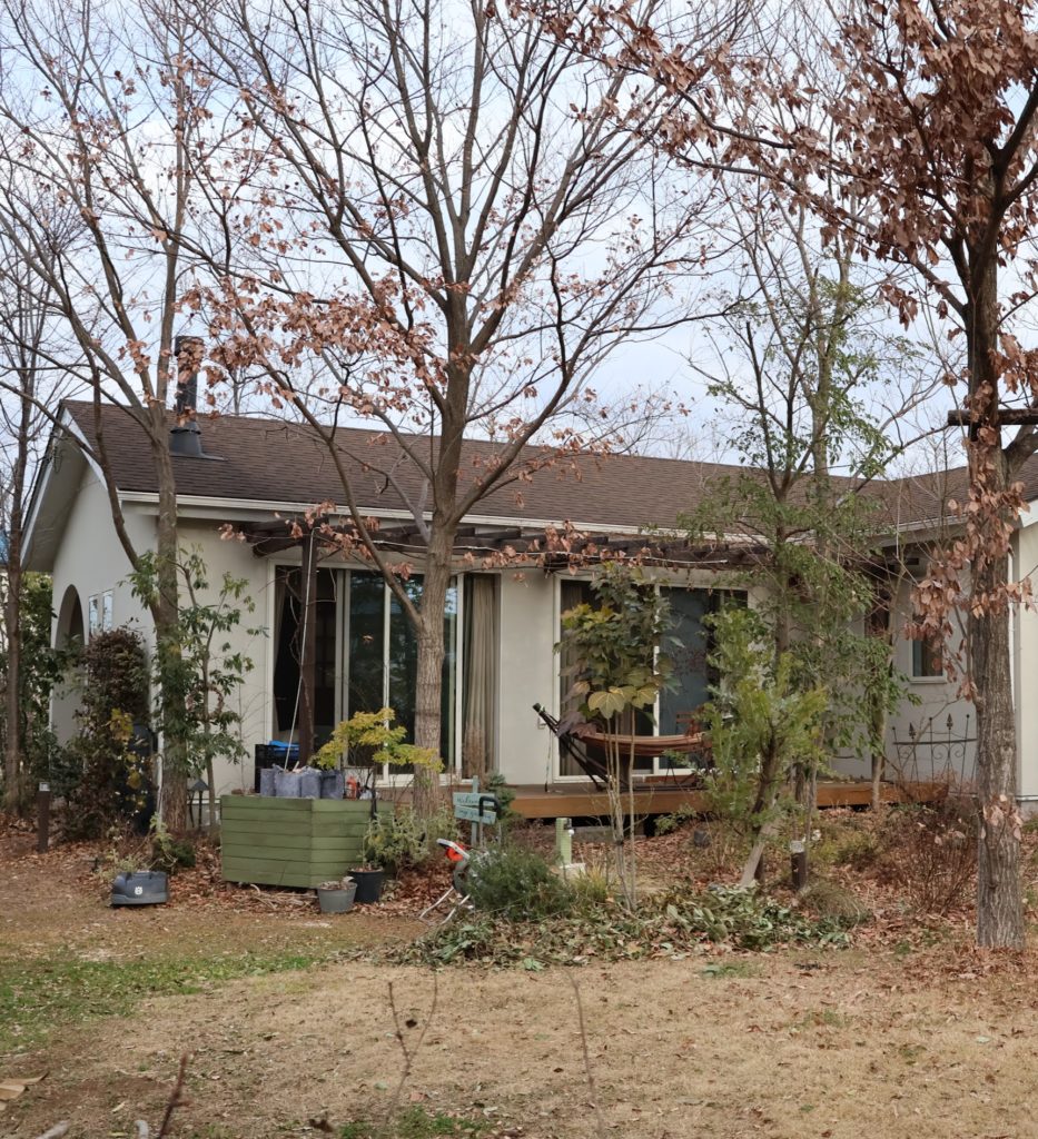 熊谷市周辺で落葉樹の庭を考えている方へ