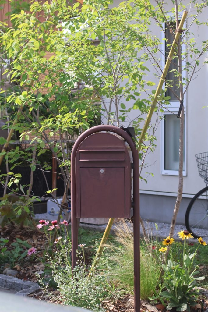 深谷市T様邸の庭リフォーム施工例。落葉樹と宿根草が調和するナチュラルな庭。