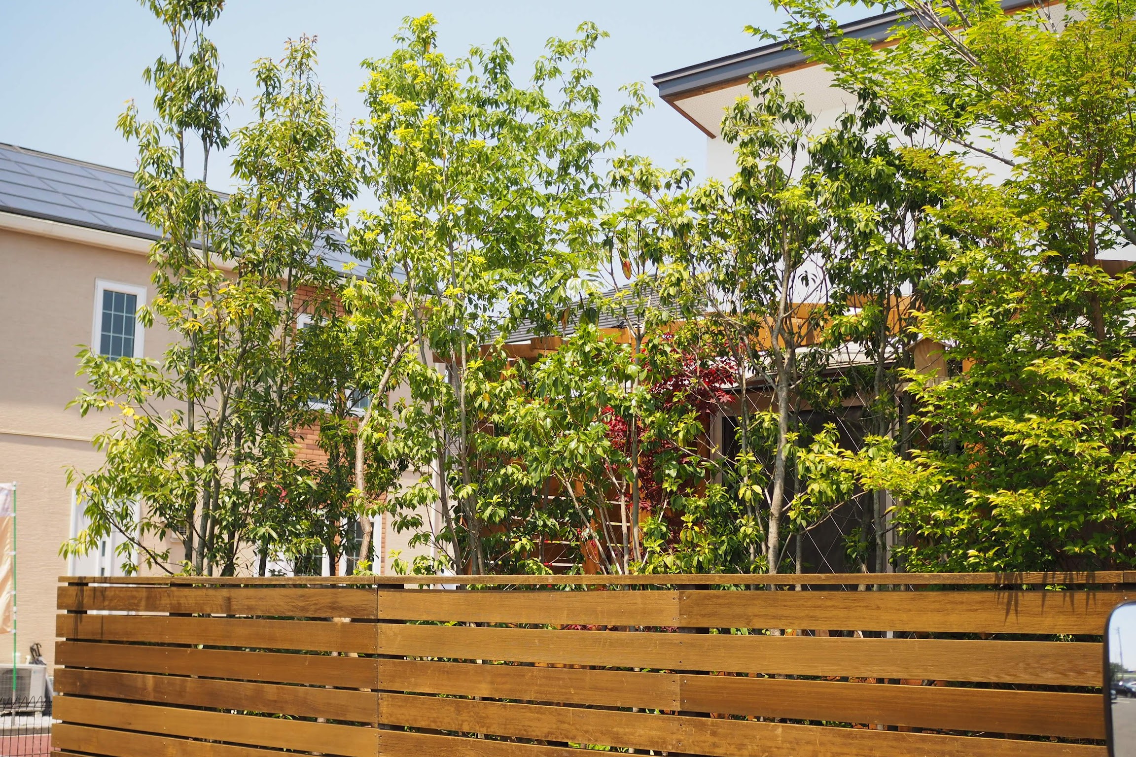 庭の植え付け、いつ頼むのが正解？熊谷エリアのベストタイミング