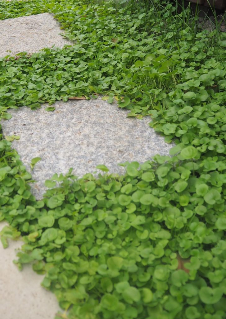 熊谷市の雑草対策はマルチングで！花音の森施工例
